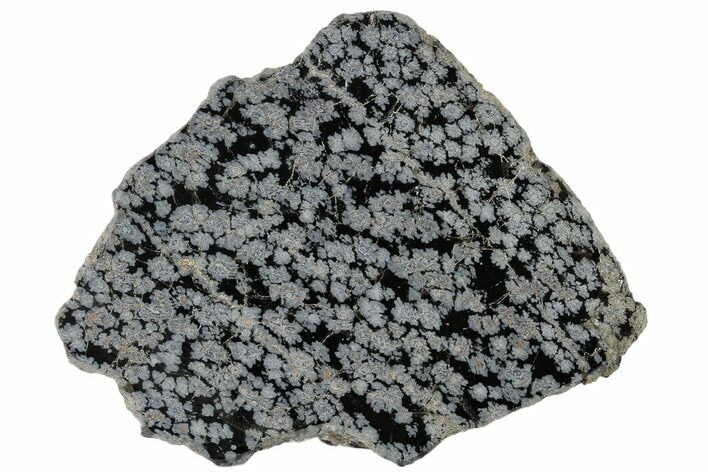 Polished Snowflake Obsidian Section - Utah #117777